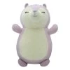 Squishmallows 10 Inch HUGMEES Assortment Sydnee -Squishmallows 196566151376 1