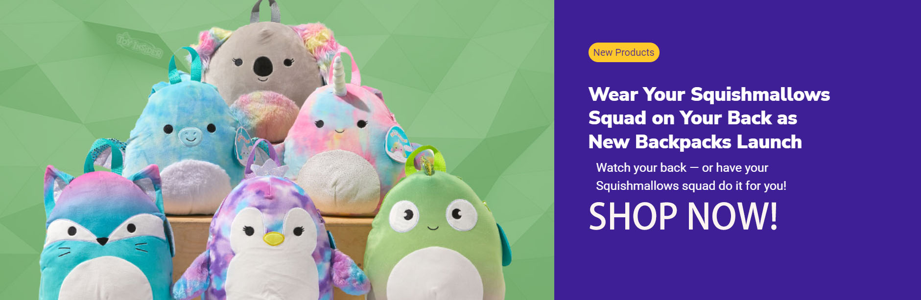 Squishmallows -Squishmallows FTHTG