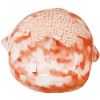 Squishmallows 16 Inch Plush | Livvy The Tie-Dye Starfish 1 Squishmallows 16 Inch Plush | Livvy The Tie-Dye Starfish -Squishmallows GUEST 77a6dd46 17ac 4e1e 8064 6a5780be02b9