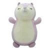 Squishmallows HugMees Sydnee The Squirrel 10" Plush -Squishmallows squishmallows hugmees sydnee the squirrel 10 plush